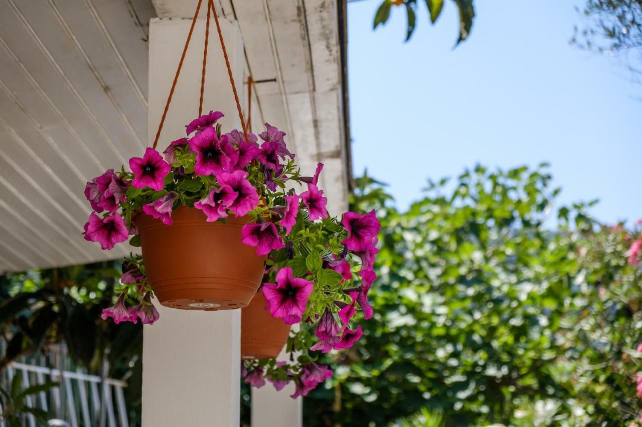 Cuore di Milka Apartments Veli Lošinj Dış mekan fotoğraf